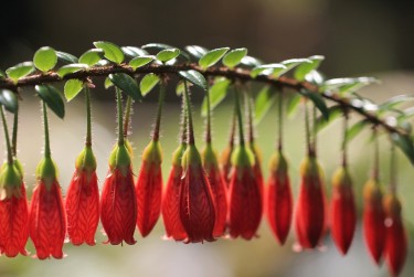 广州越秀区3私人快速借钱网，轻松解决资金难题