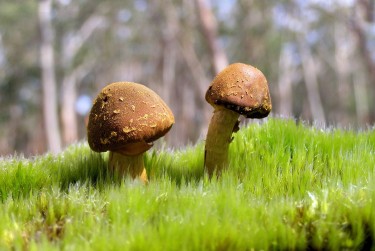 广州越秀区3私人老板放款：轻松融资的秘密通道